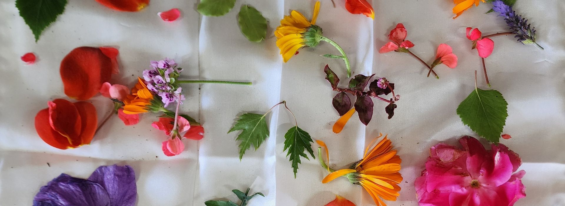 Pomonal Cottages Grampians